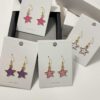Fancy S925 Earrings Lucky Bags9